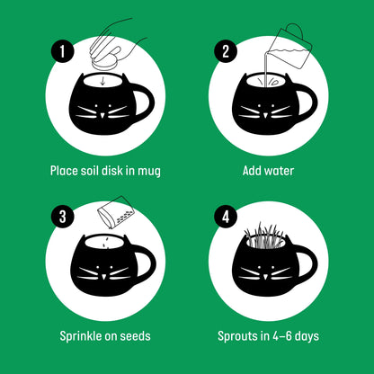 Kit De Hierba Orgánica Para Gatos Con Maceta De Cerámica Negra Para Gatos, Set De Regalo Fácil De Plantar En Interiores