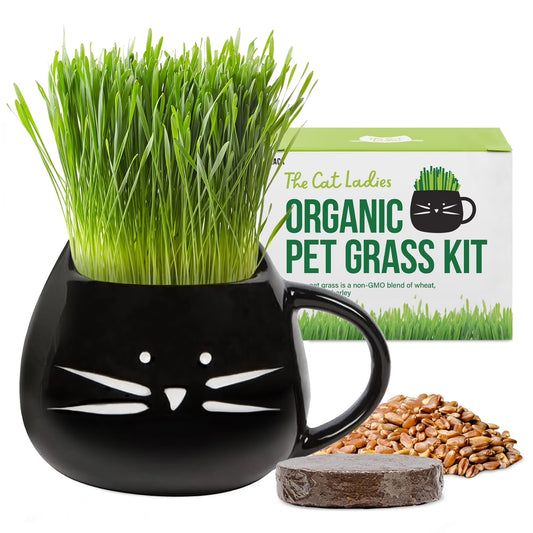 Kit De Hierba Orgánica Para Gatos Con Maceta De Cerámica Negra Para Gatos, Set De Regalo Fácil De Plantar En Interiores